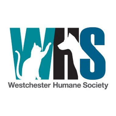 Thank you letter from Westchester Humane Society